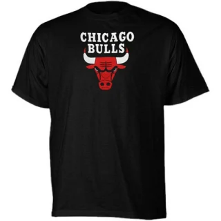 Men's Chicago Bulls Black Primary Logo T-Shirt -