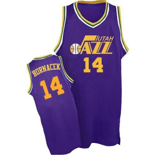 Men's Jeff Hornacek Utah Jazz Purple Authentic Throwback Jersey