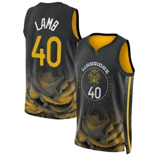Youth Anthony Lamb Golden State Warriors Gold Swingman Black 2022/23 City Edition Jersey