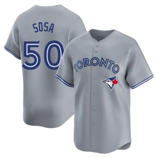 Youth Lenyn Sosa Toronto Blue Jays Gray Limited Away Jersey