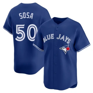 Youth Lenyn Sosa Toronto Blue Jays Royal Limited Alternate Jersey