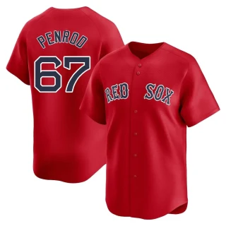 Youth Zach Penrod Boston Red Sox Red Limited Alternate Jersey